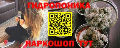 ешки Абакан