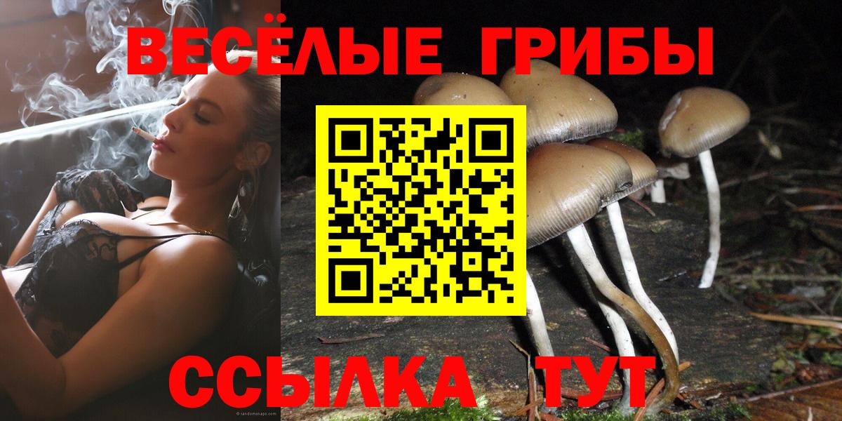 Анжеро-Судженск  Псилоцибиновые грибы MAGIC MUSHROOMS  где можно купить   Вход с VPN 